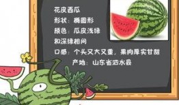 吃瓜下棋知乎免费阅读,揭秘知乎免费阅读中的趣味棋局